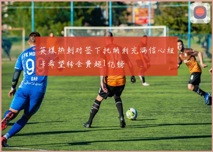 英媒热刺对签下托纳利充满信心纽卡希望转会费超1亿镑