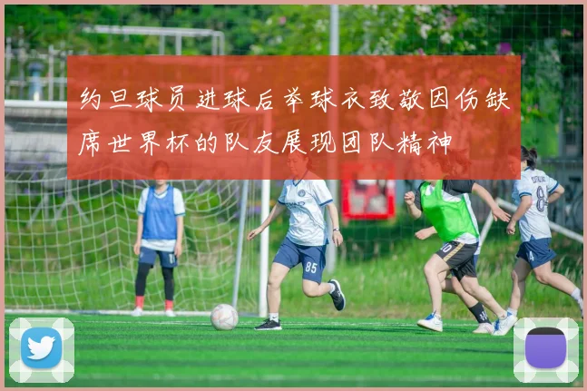 约旦球员进球后举球衣致敬因伤缺席世界杯的队友展现团队精神