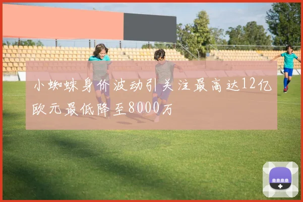 小蜘蛛身价波动引关注最高达12亿欧元最低降至8000万